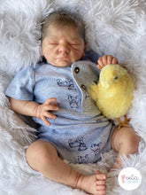 Bebe Reborn-Damian