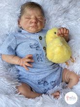 Bebe Reborn-Damian